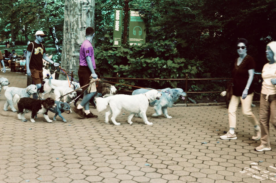 New York Photo 11