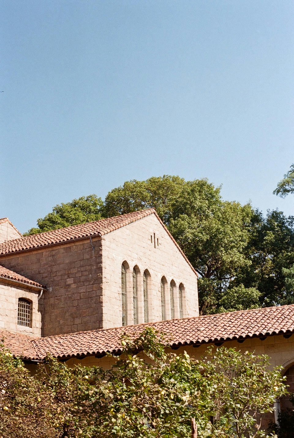 The Met Cloisters Photo 8