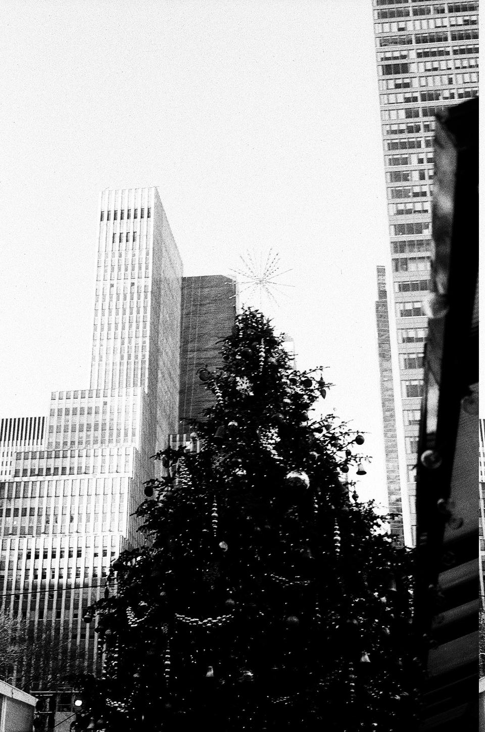 New York Photo 16