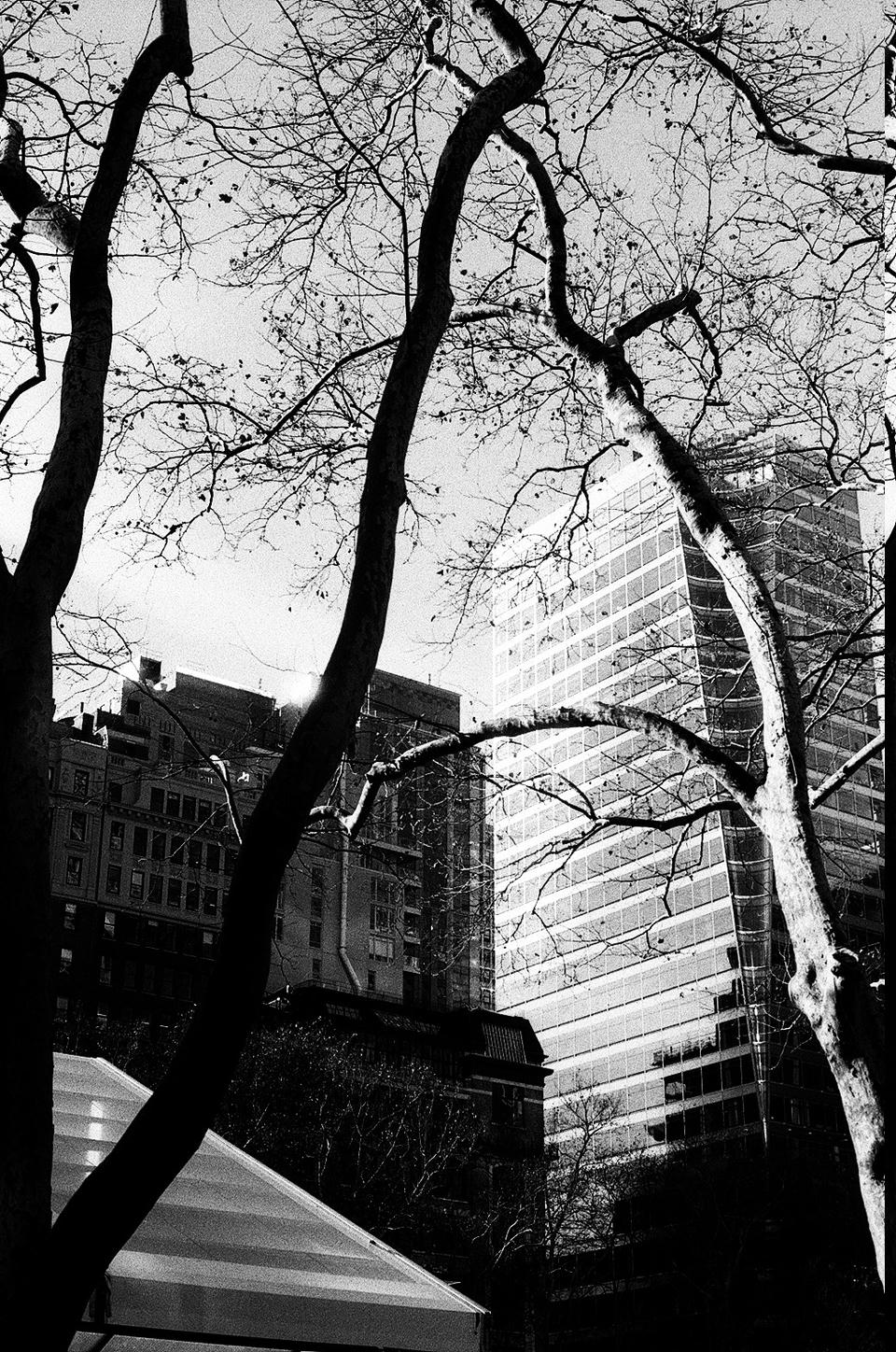 New York Photo 19