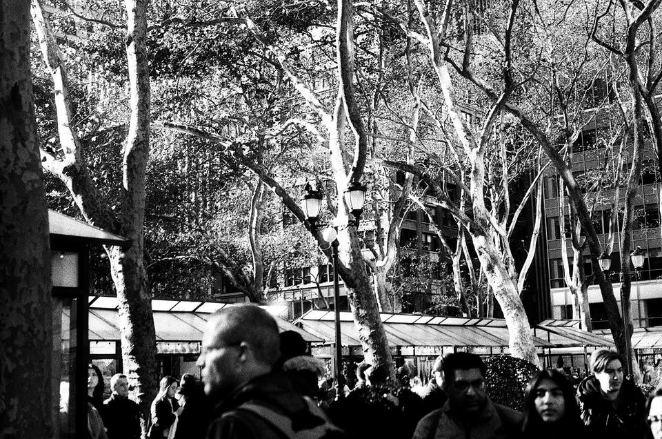 New York Photo 2