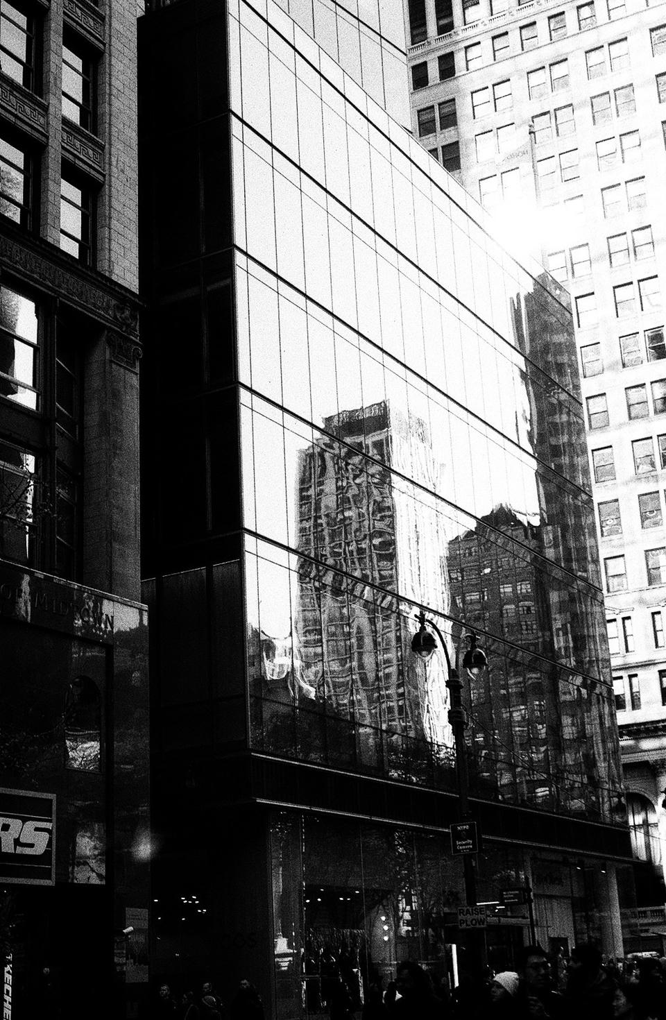 New York Photo 5
