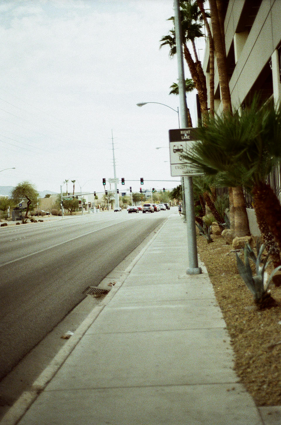 Vegas Photo 11