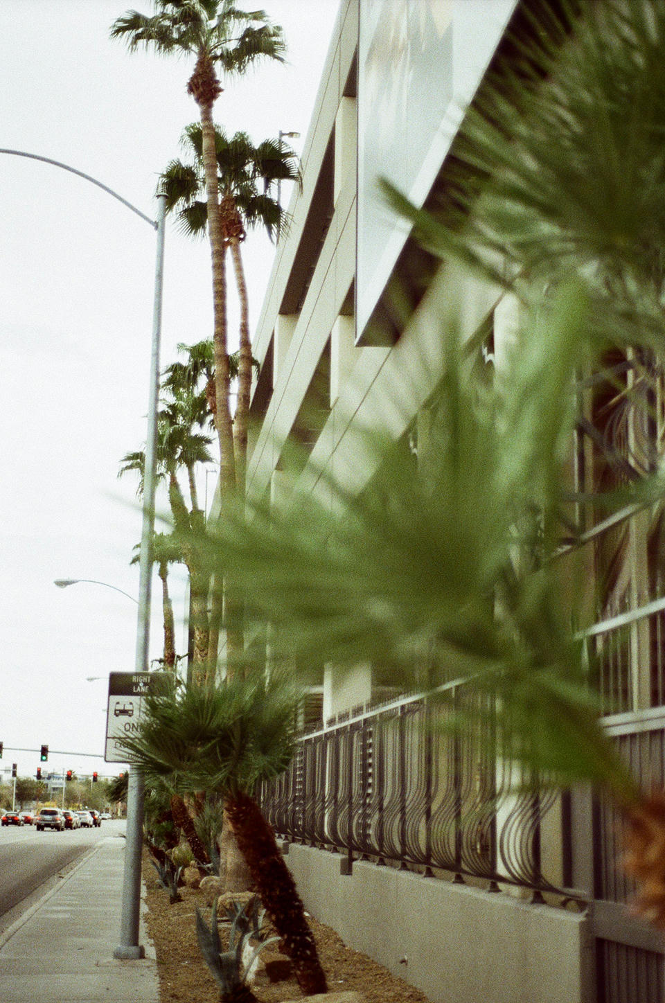 Vegas Photo 12