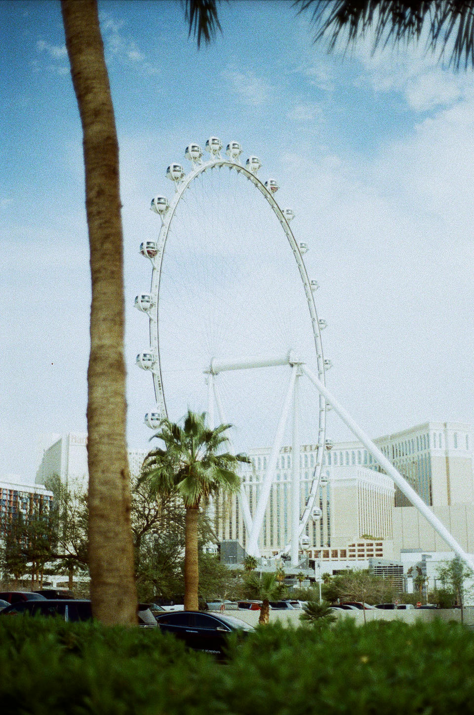 Vegas Photo 16