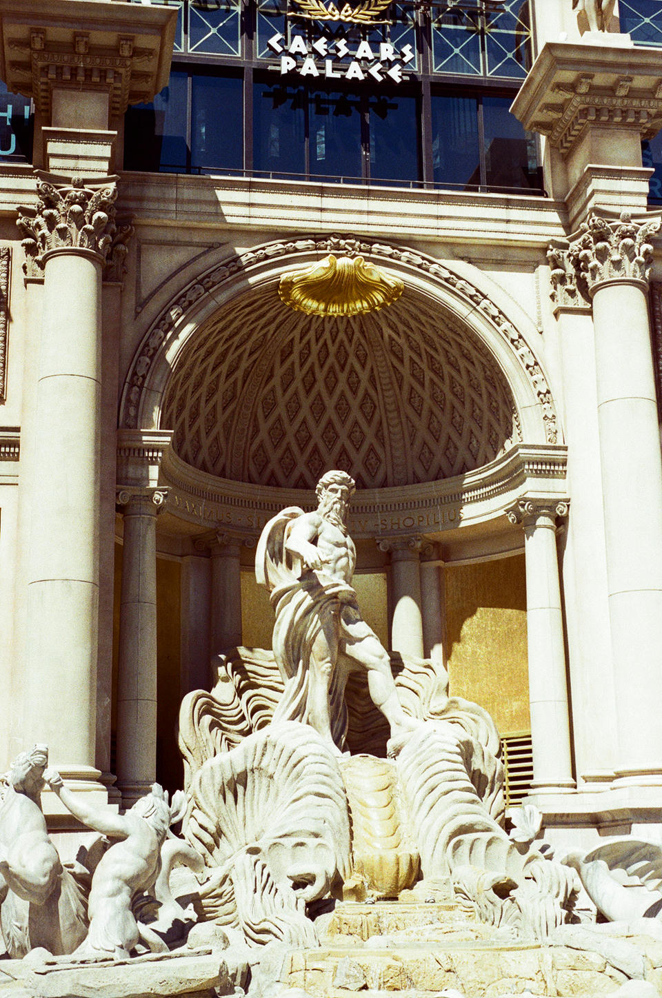 Vegas Photo 24