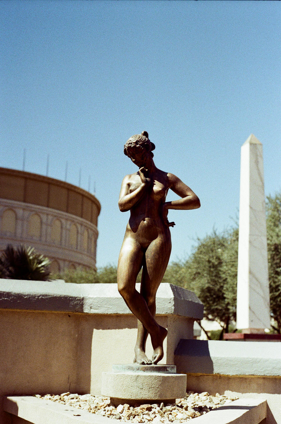 Vegas Photo 25
