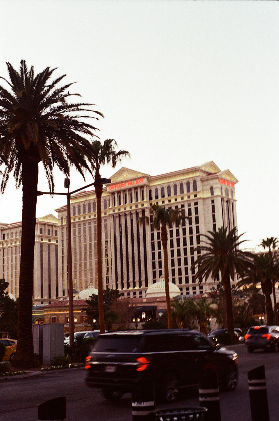 Vegas Photo 33
