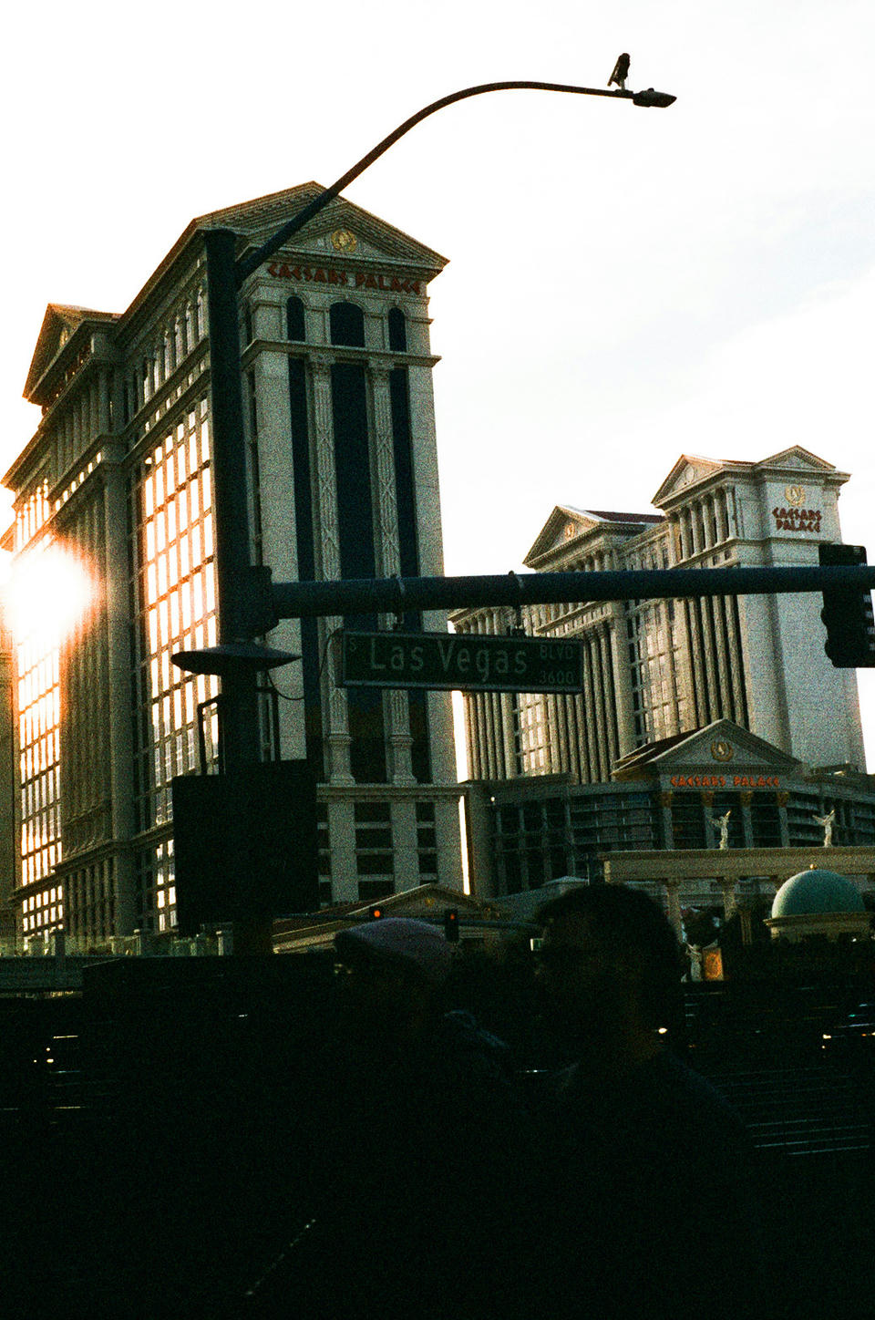Vegas Photo 6