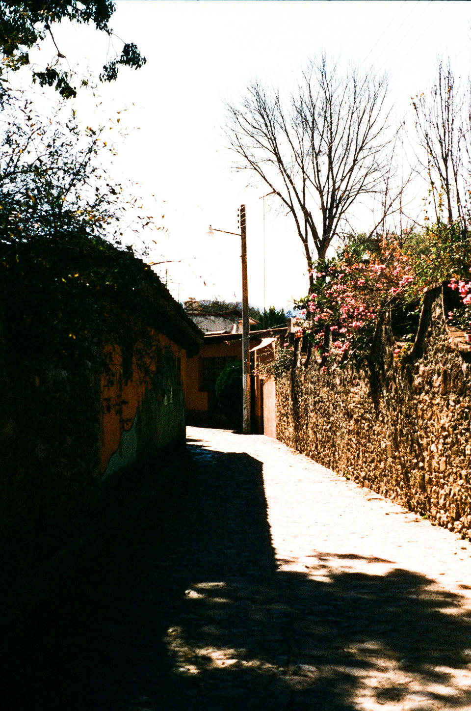Huasca Photo 13
