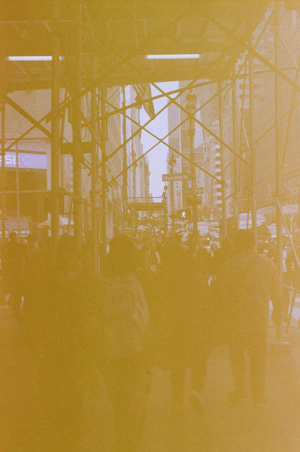 New York Photo 8