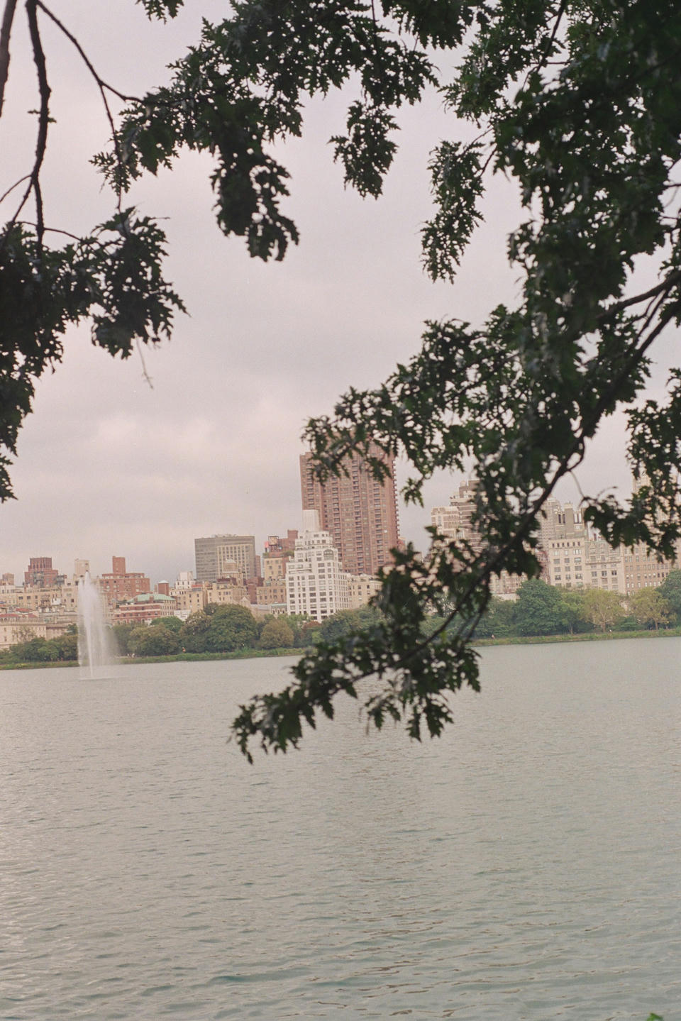 New York Photo 7